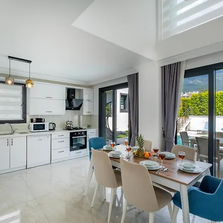 Villa Modern Chic 4-bedroom With Private Pool And Garden In Central Hisaronu Fethiye